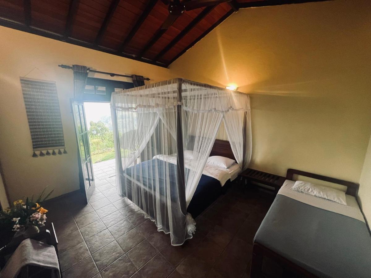 Ambiente Guest House Ella Exterior foto